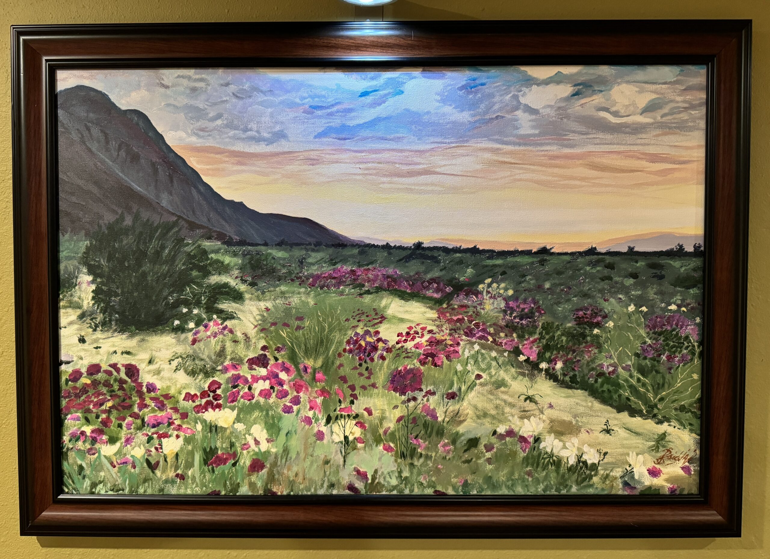 California Super Bloom